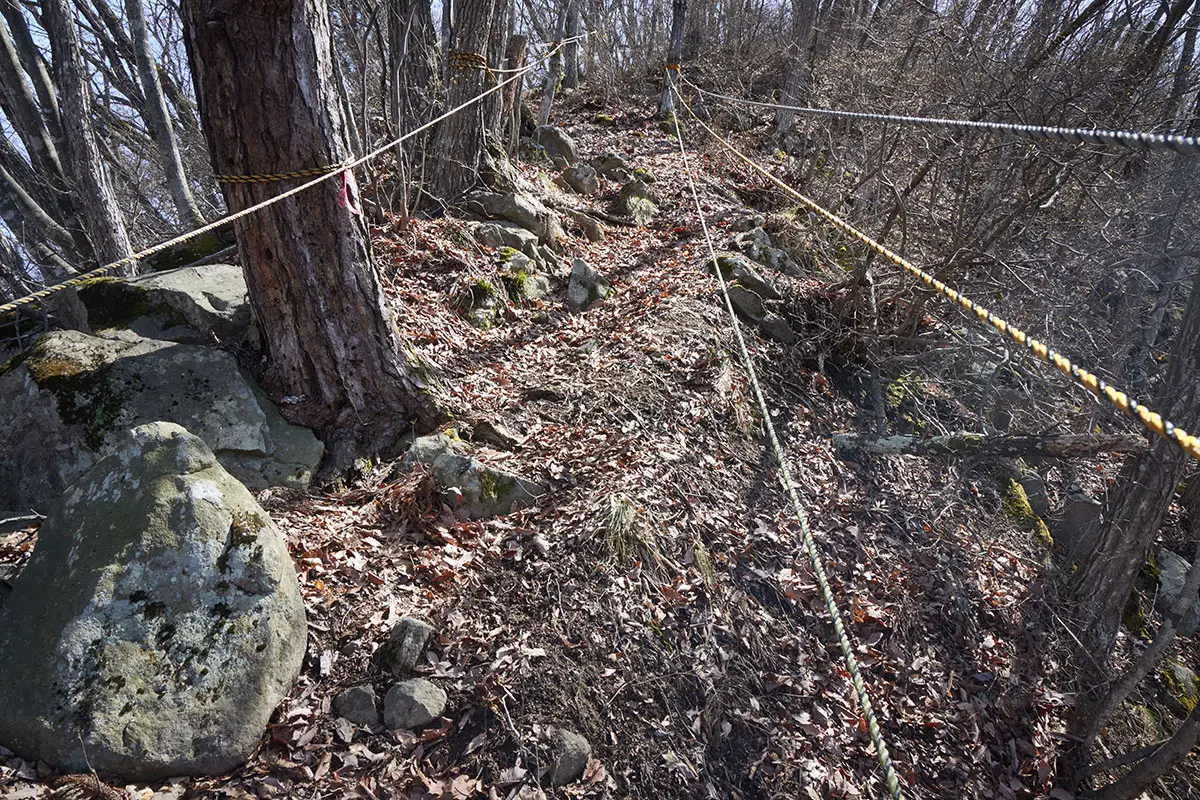 箱山登山 けっこうな急斜面にロープが張ってある
