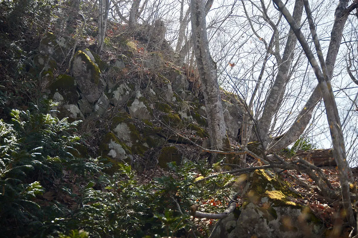 箱山登山 山頂の真下には石積みのような雰囲気で石がいっぱい
