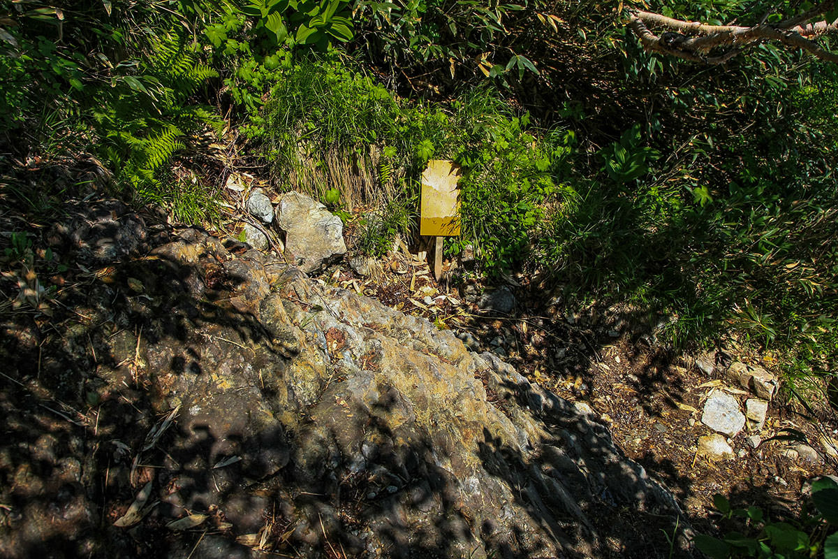 白馬岳鑓ヶ岳杓子岳登山 黄色い看板