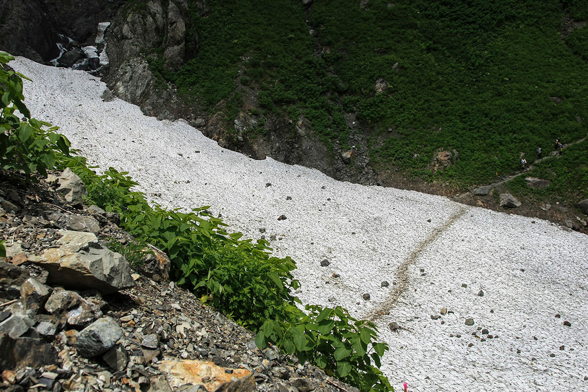 白馬岳鑓ヶ岳杓子岳登山 杓子沢の雪渓が最後