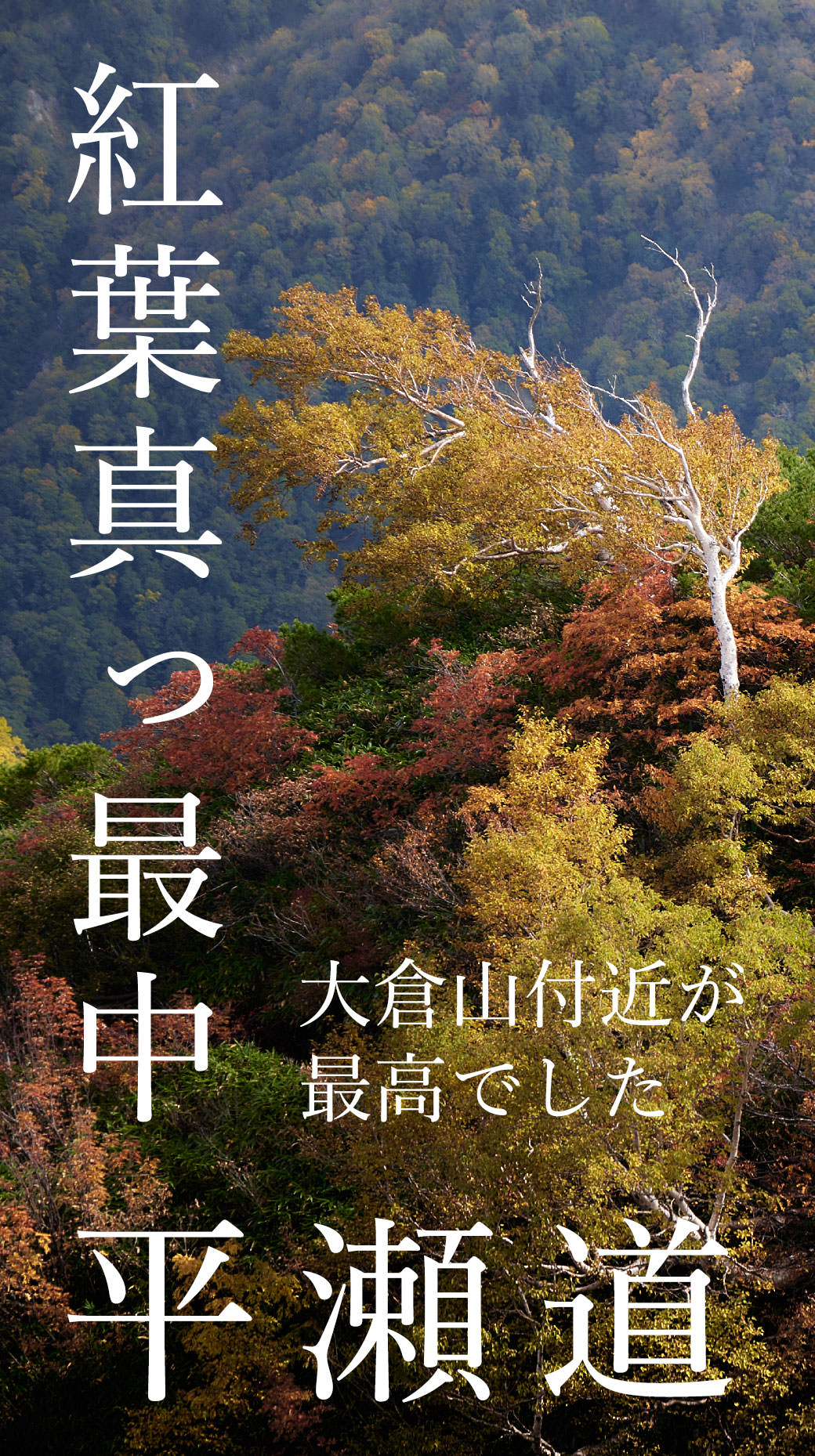 白山 平瀬道