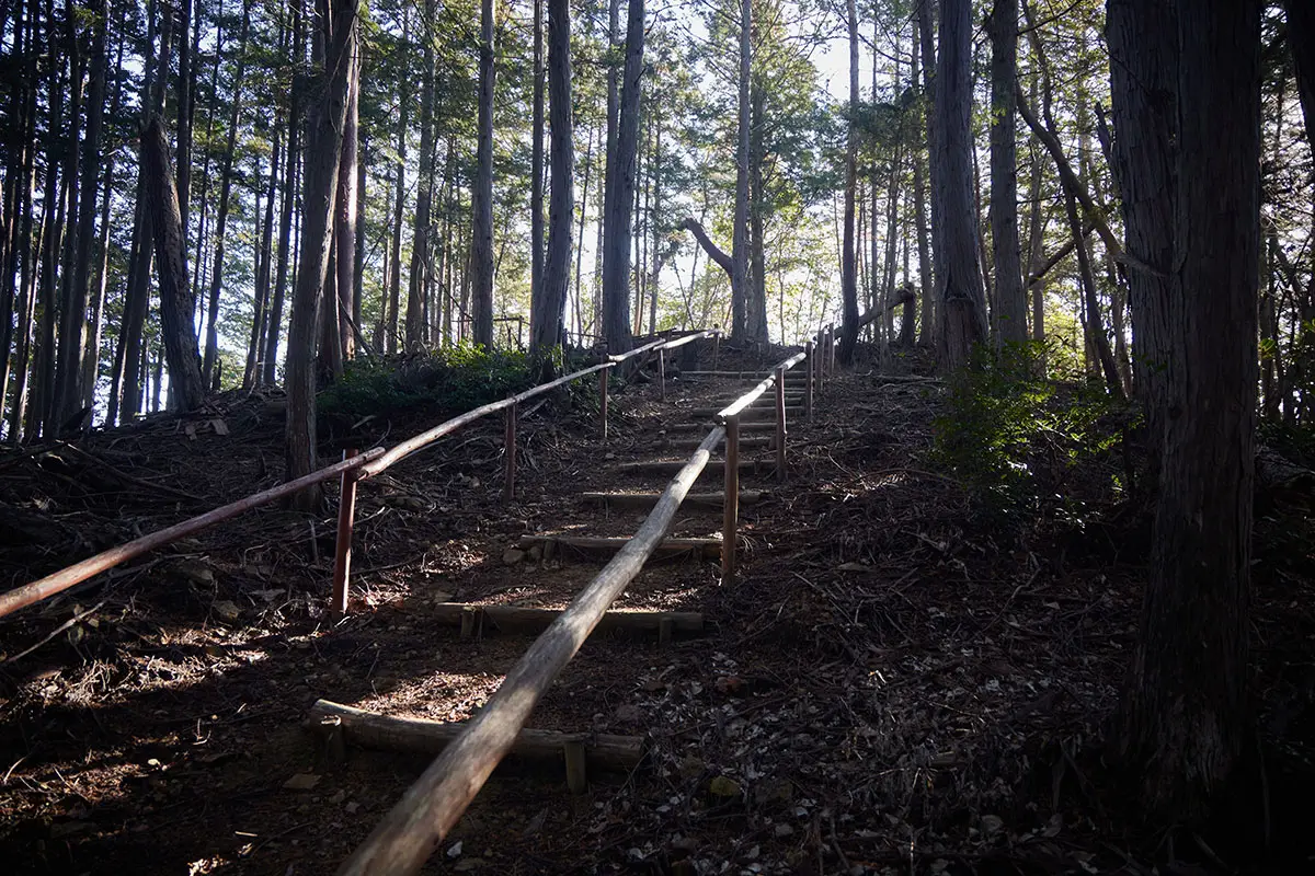 半国山登山 仁王堂跡から展望台に上ってみる