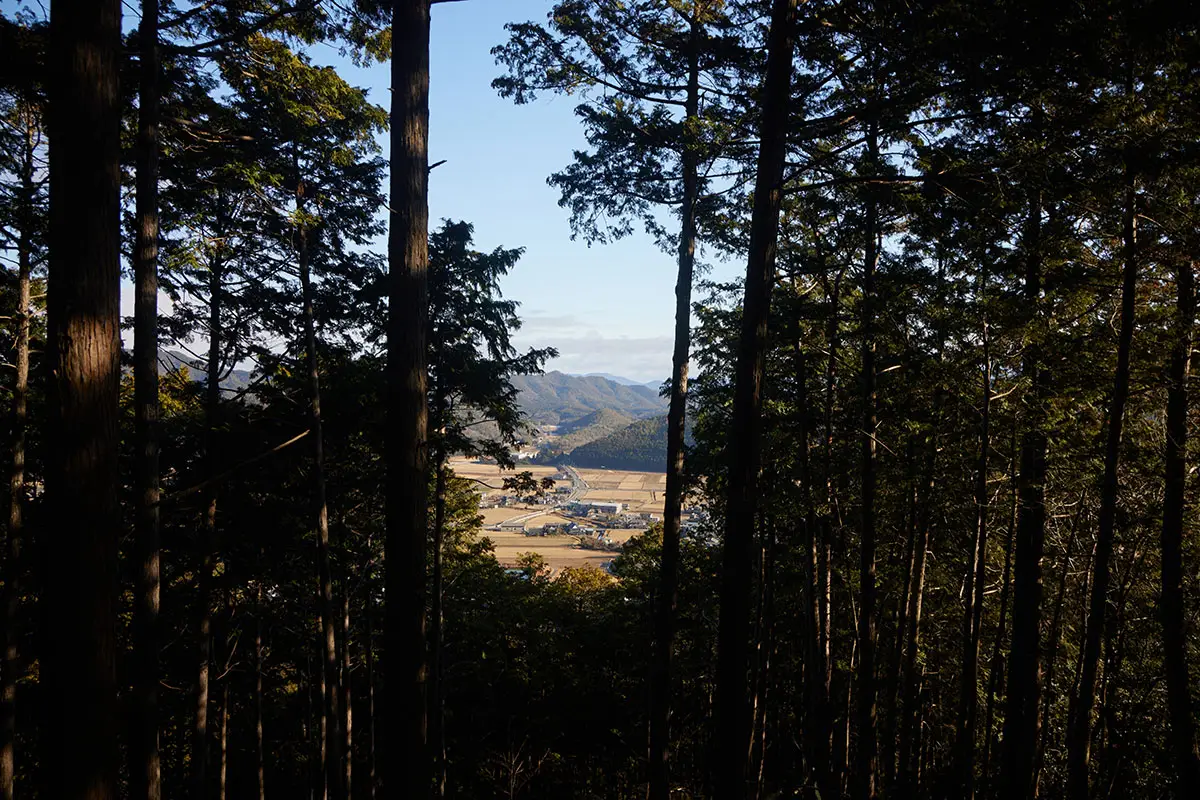 半国山登山 特にこれといった珍しい物は見えない