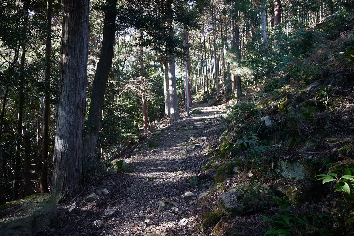 半国山登山 仁王堂跡から登る