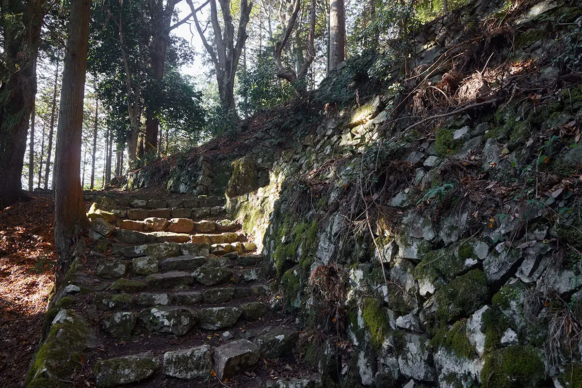 半国山登山 石垣と石段が出てきた