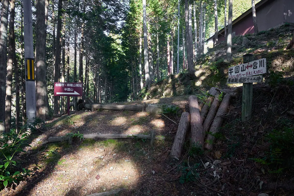 半国山登山 道路に出た