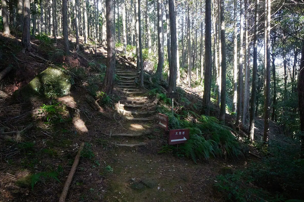 半国山登山 階段が続く