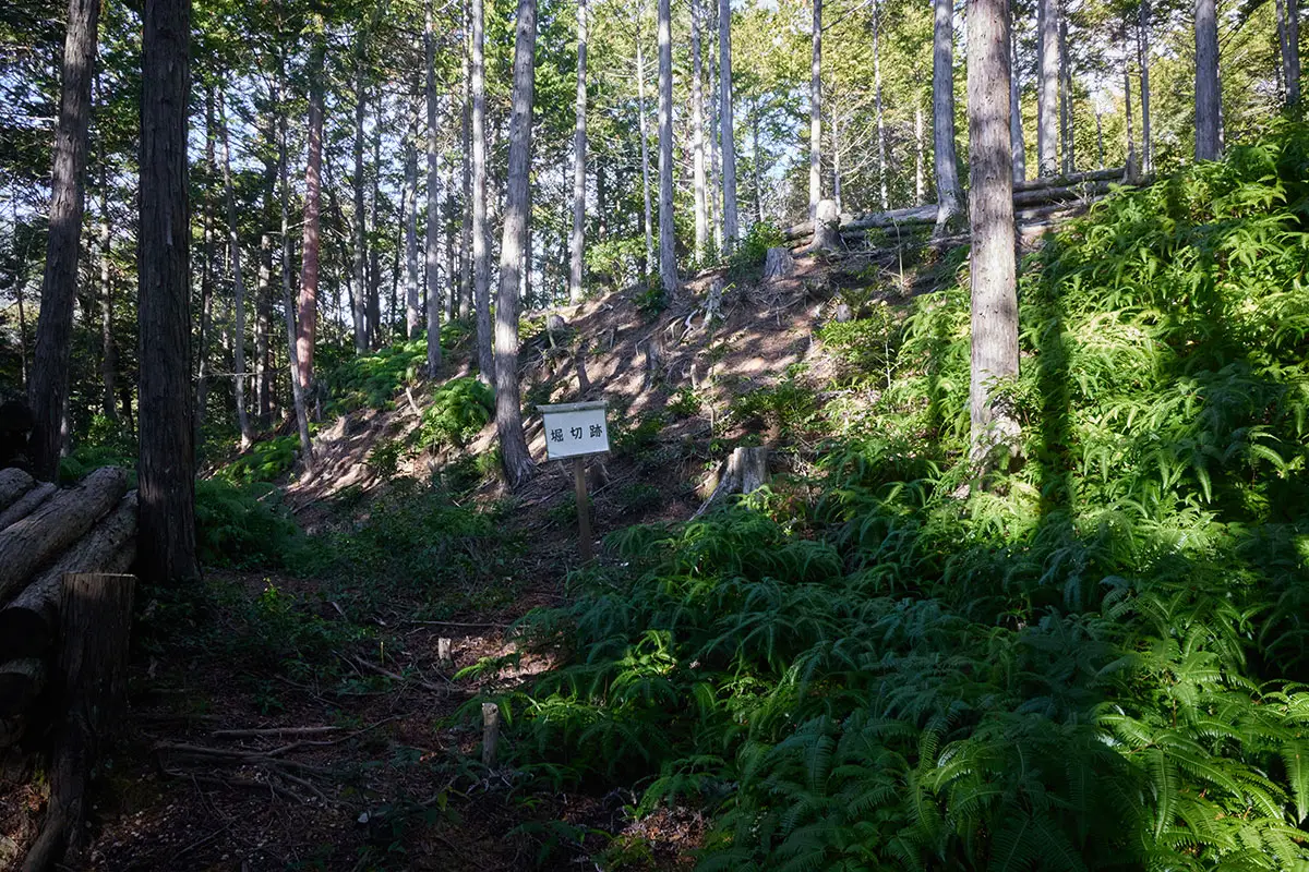 半国山登山 城跡に着いた