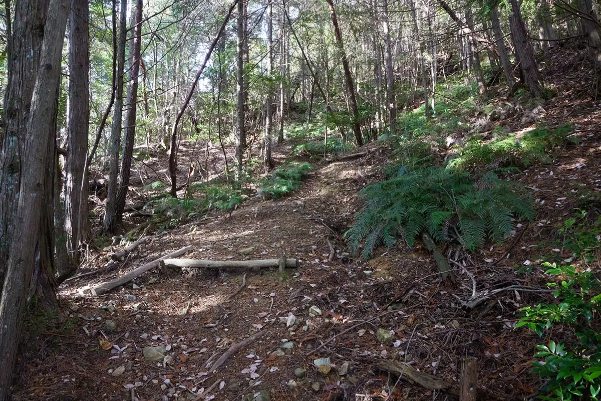 半国山登山 少し下りたら登り返し