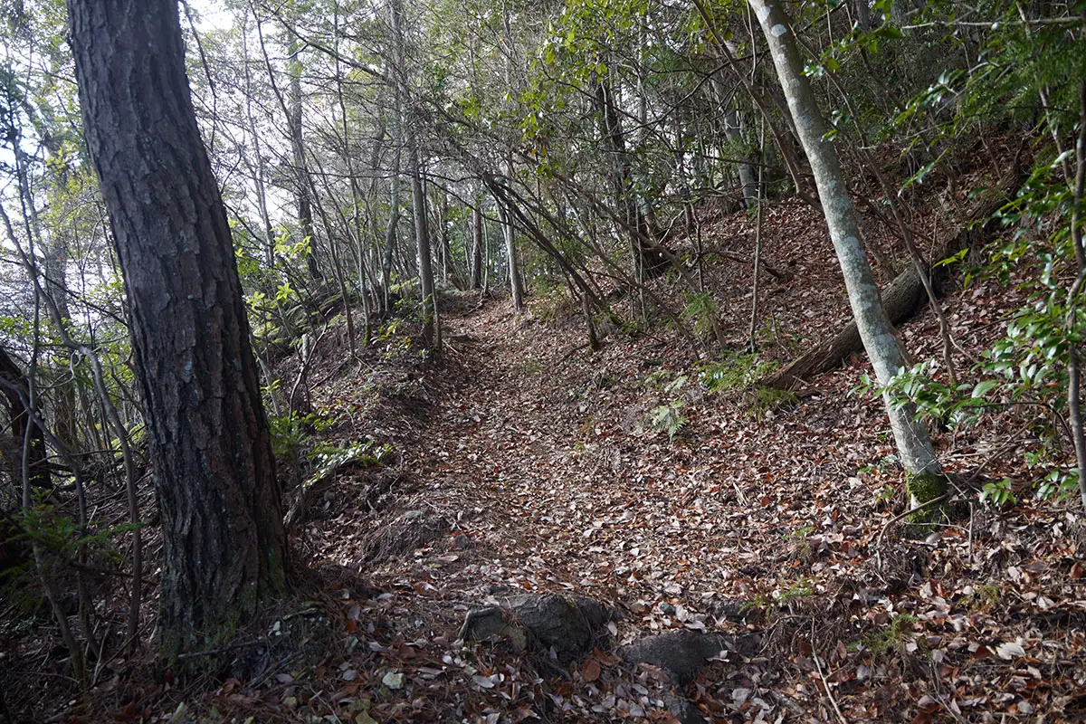 半国山登山 歩きやすくなった