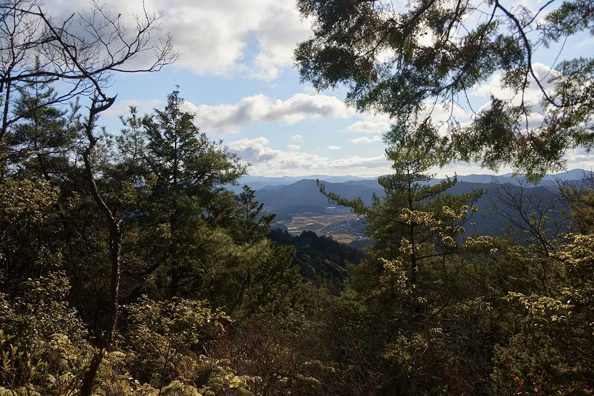 半国山登山 木々の間から麓が見える