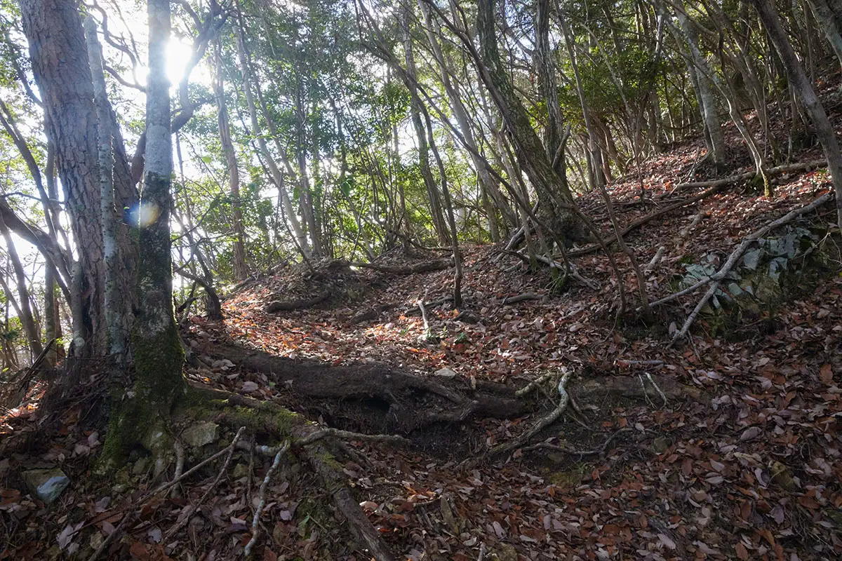 半国山登山 ときどき急斜面