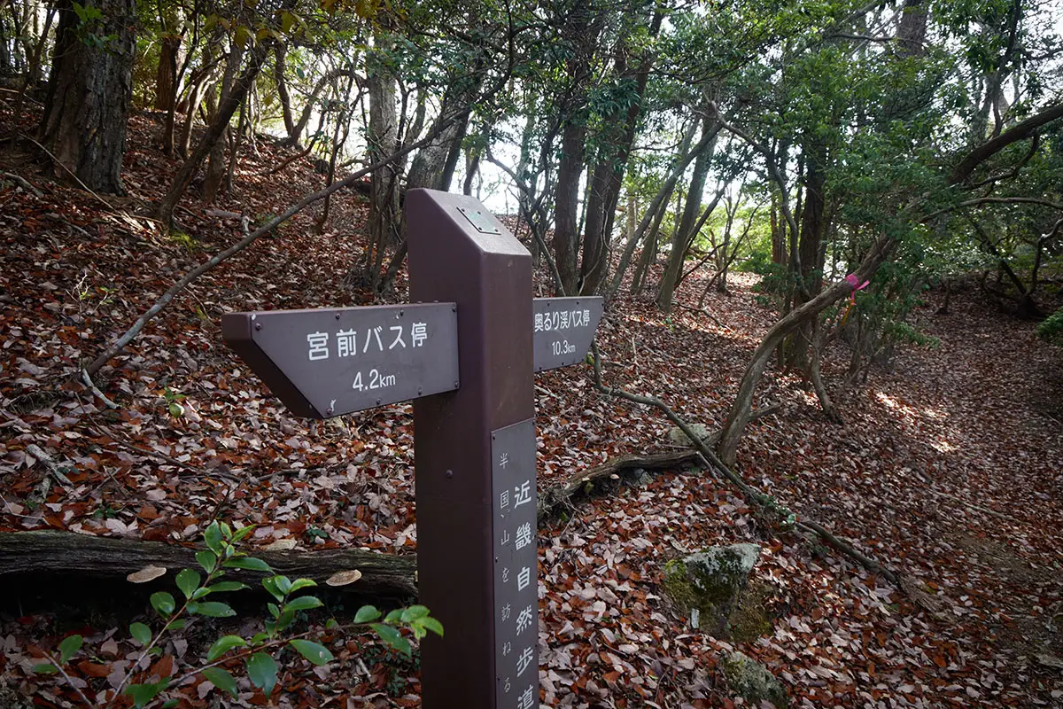 半国山登山 奥るり渓バス停という知らない名前が出てきた