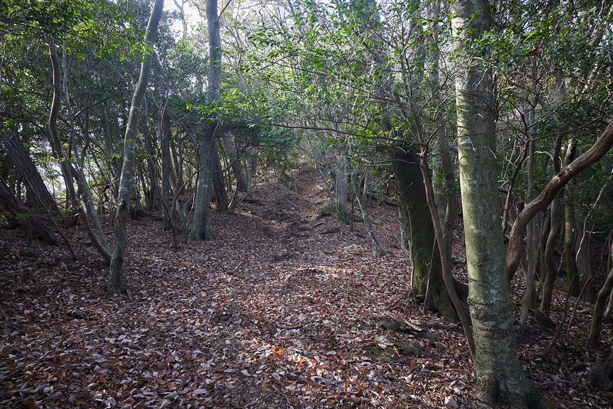 半国山登山 落葉の登りはまだ続く
