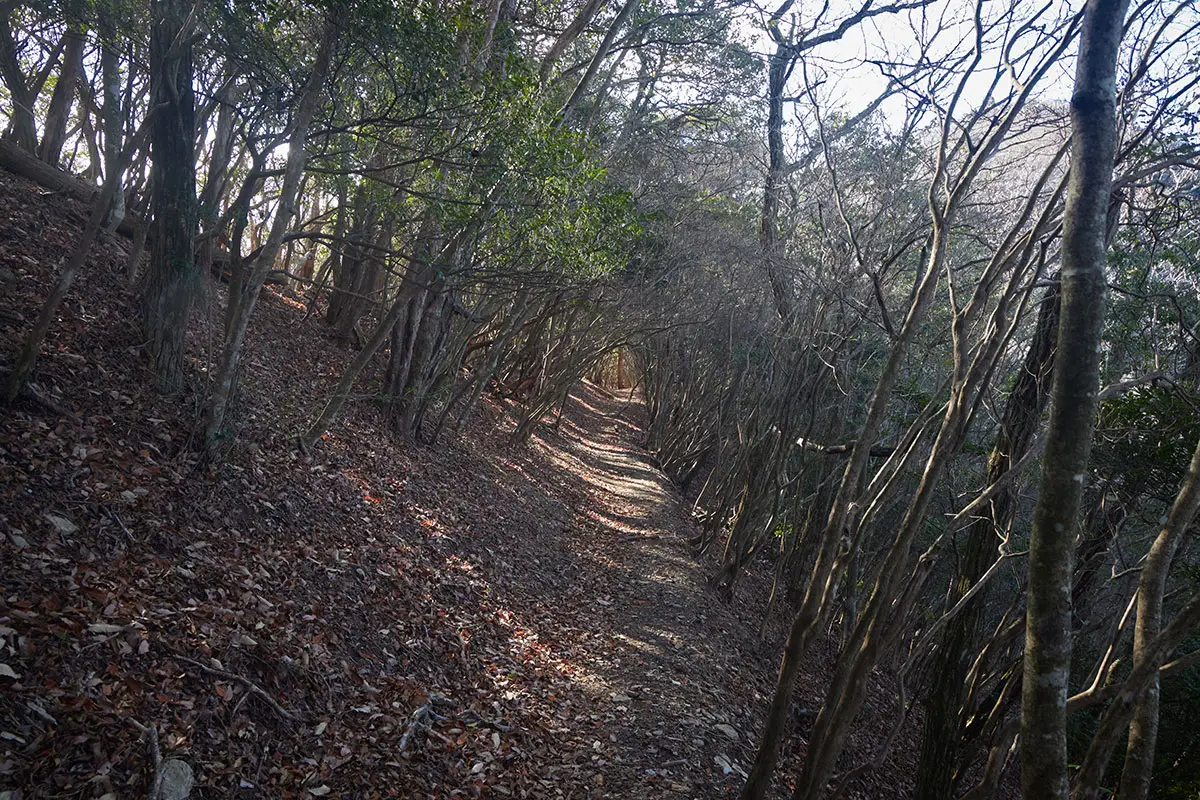 半国山登山 まだ着かない