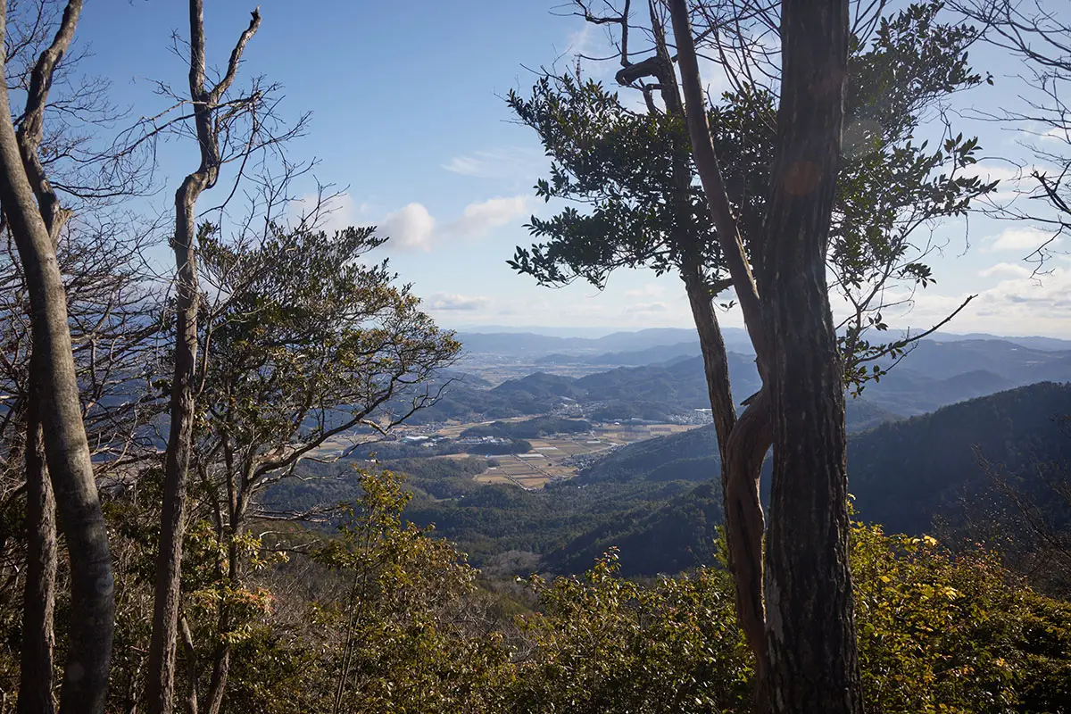 半国山登山 意外と高く登ってきていなかった