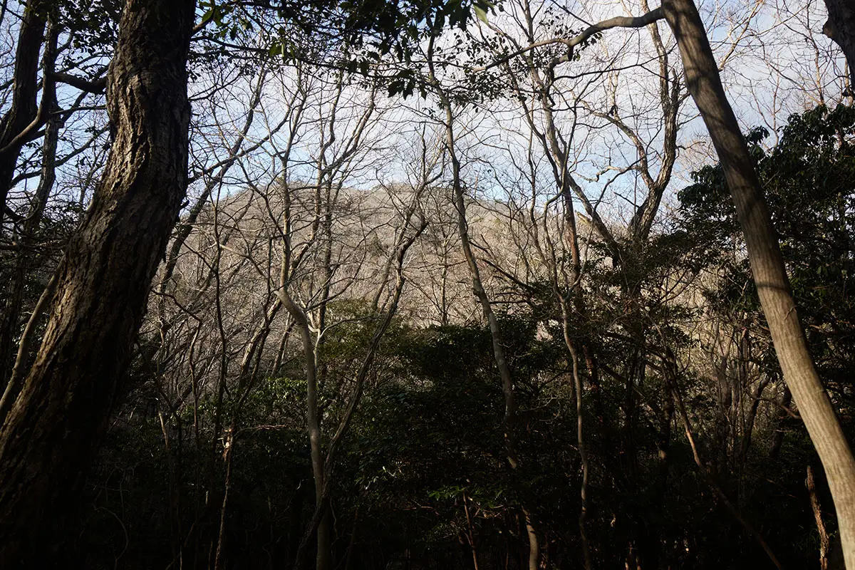 半国山登山 山頂らしいものが見えてきた