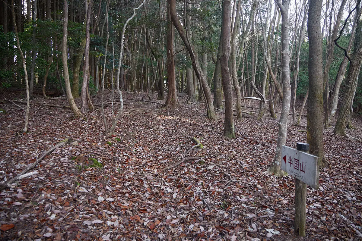 半国山登山 山頂への矢印があった