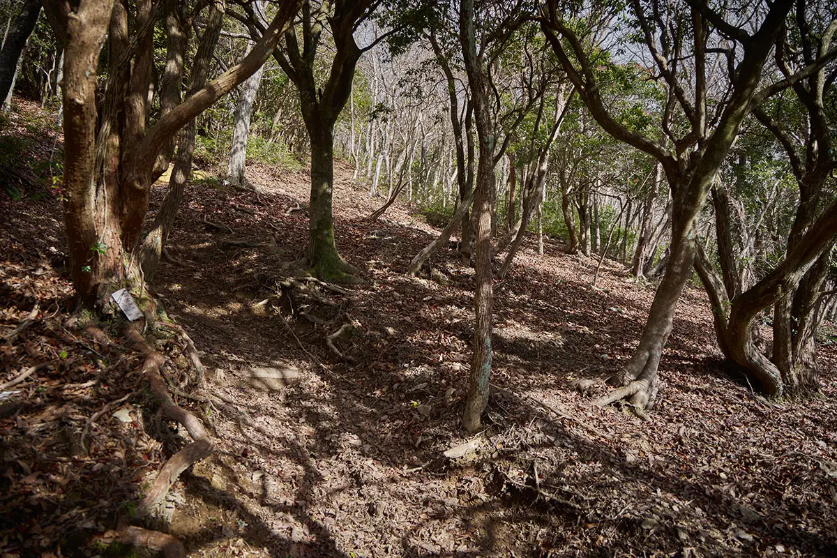 半国山登山 山頂直下の急斜面