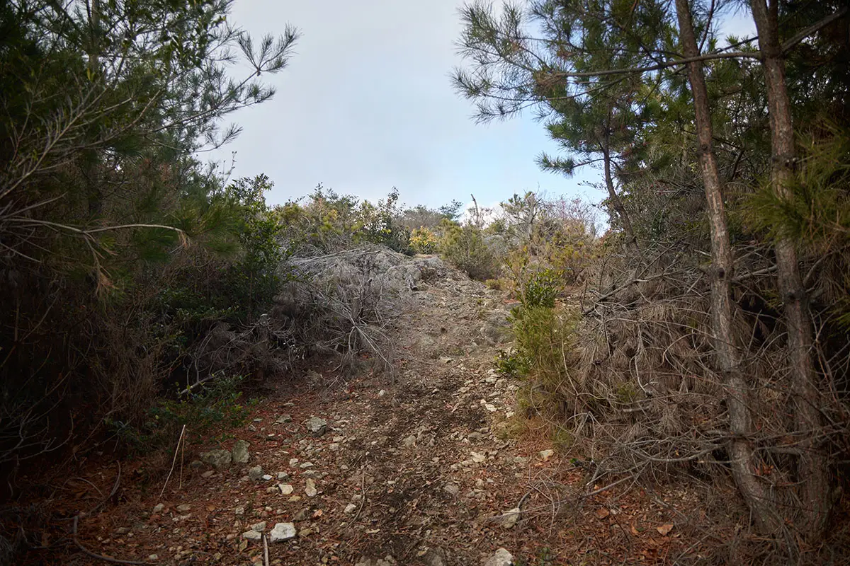 半国山登山 山頂が見えた