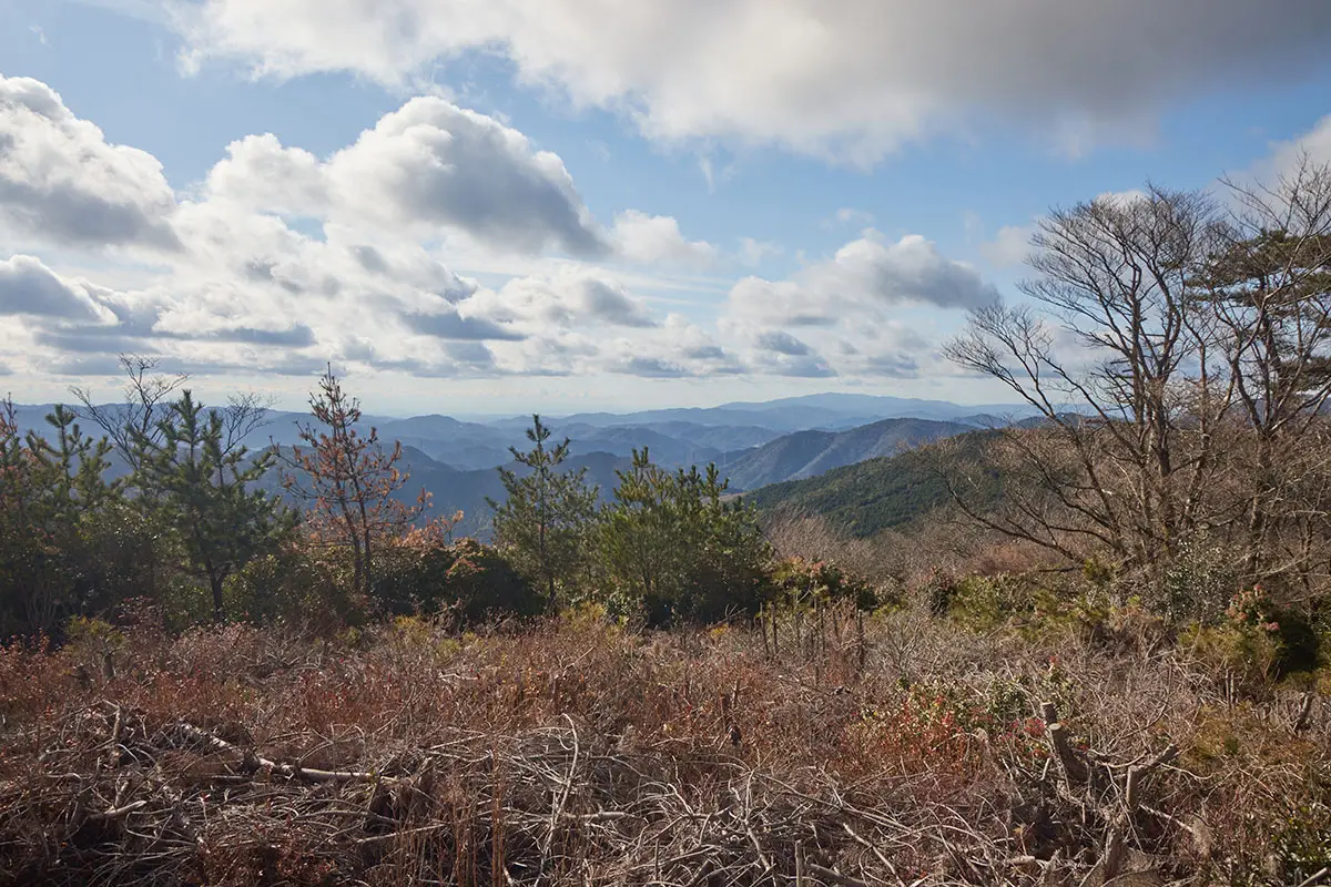 半国山登山 遠くにうっすらと見えるのがきっと大阪