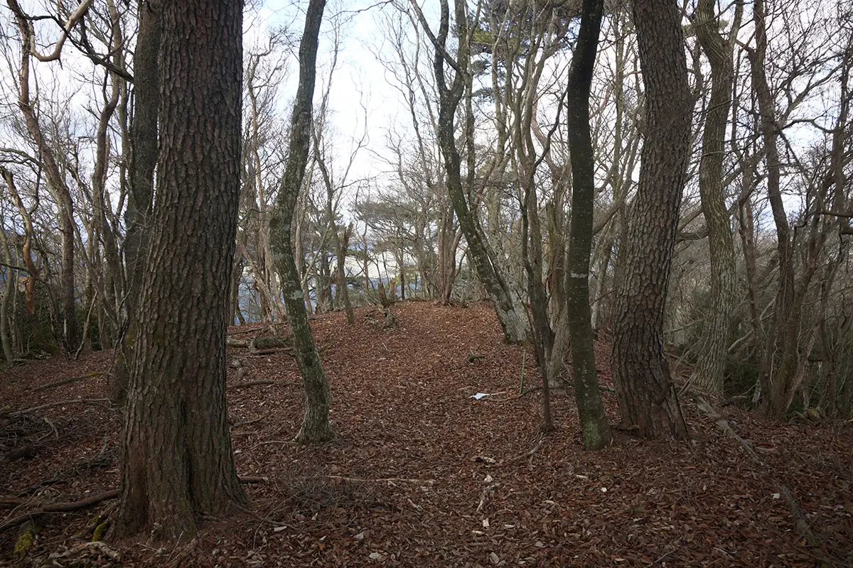 半国山登山 赤熊へ下りる