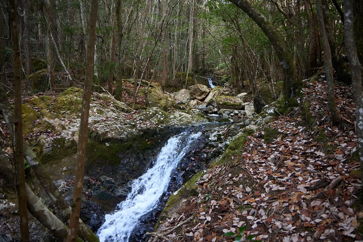 半国山登山 沢が流れていた