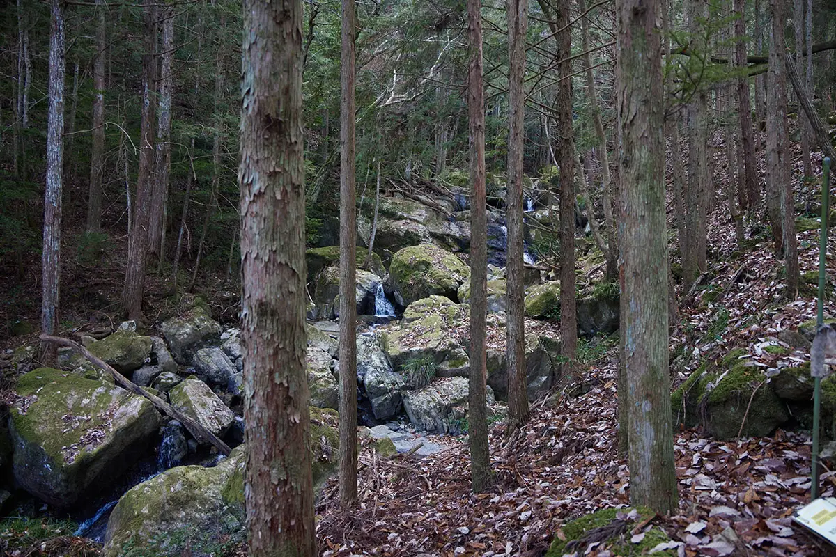 半国山登山 流れが細かく折れ曲がっていて楽しい