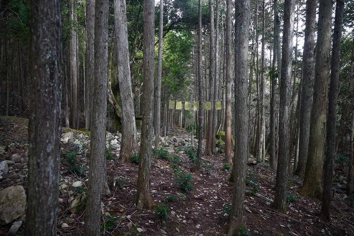 半国山登山 何かが見えた