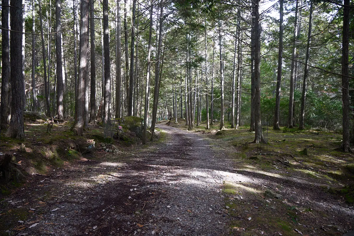 半国山登山 林道を下りる