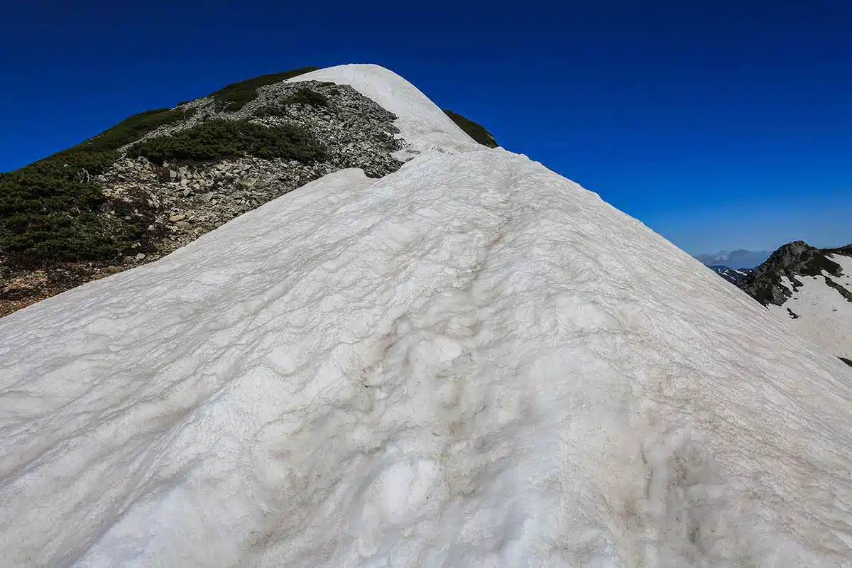 針ノ木岳登山 針ノ木岳-「あの雪」を越えると山頂
