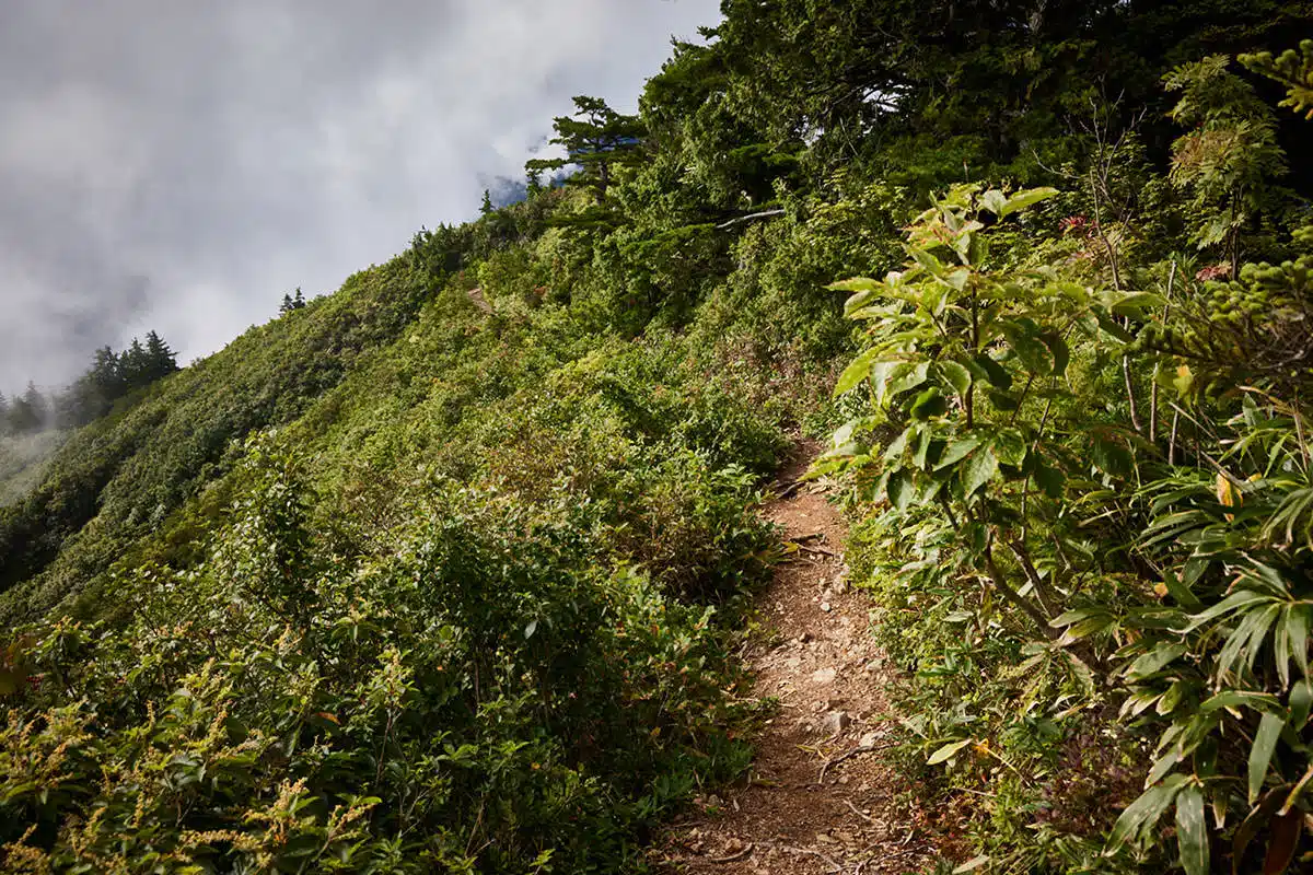 【平ヶ岳登山】平ヶ岳-なだらかな坂は徐々に下りていく