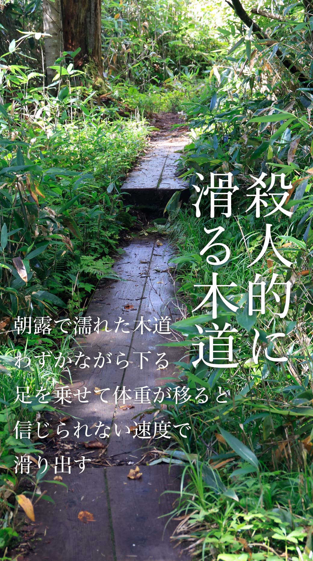 平ヶ岳 鷹ノ巣