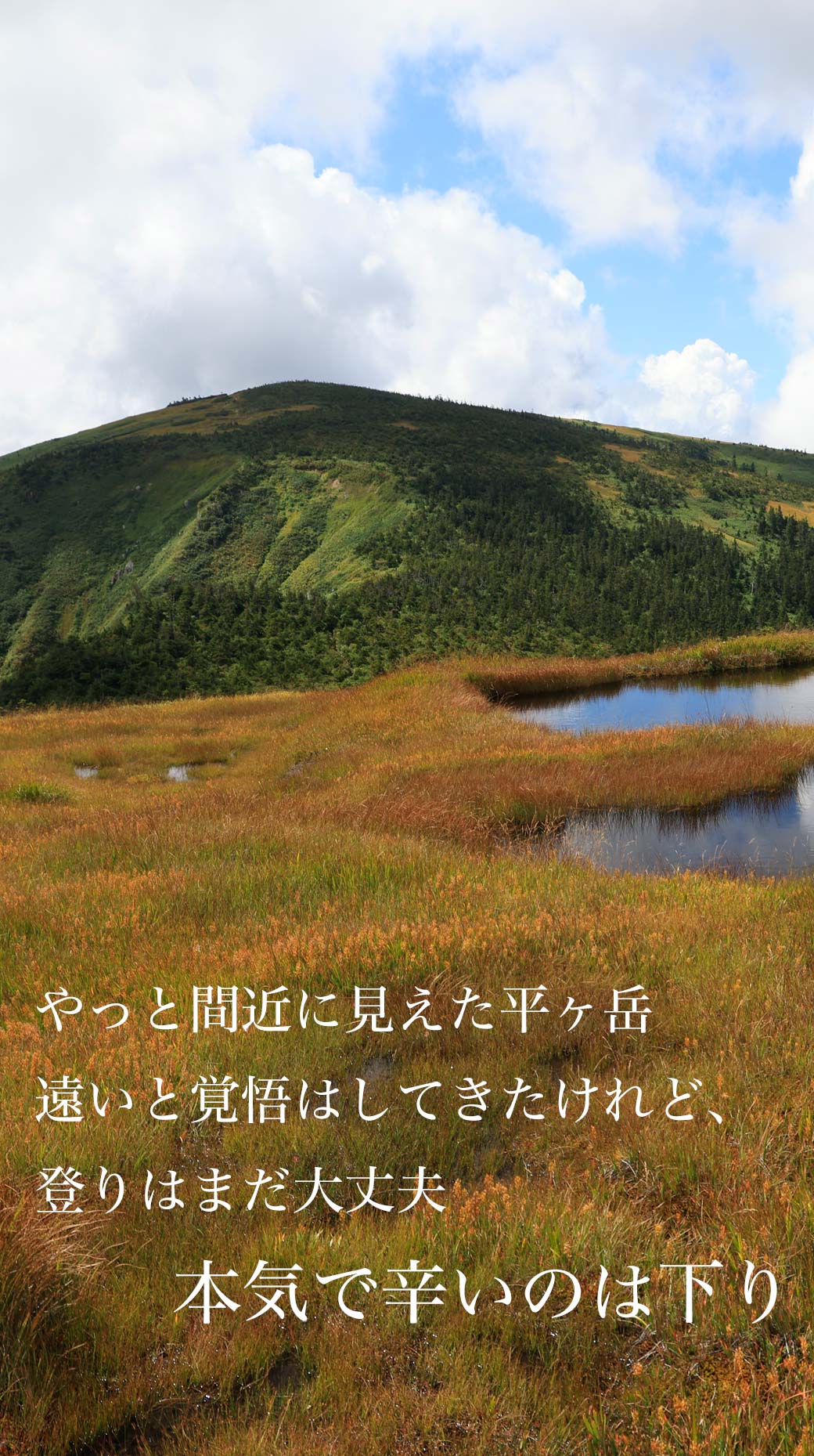 平ヶ岳 鷹ノ巣