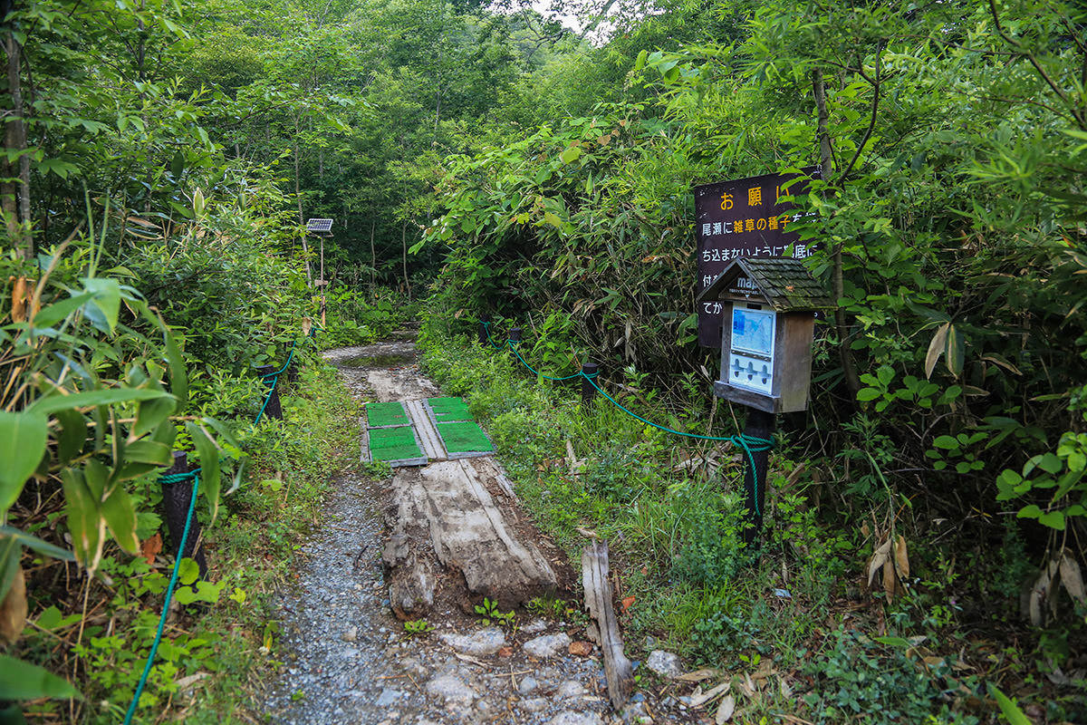 日帰り燧ヶ岳 登山 尾瀬沼長英新道 7月 燧ヶ岳から尾瀬ヶ原を抜ける 登山百景