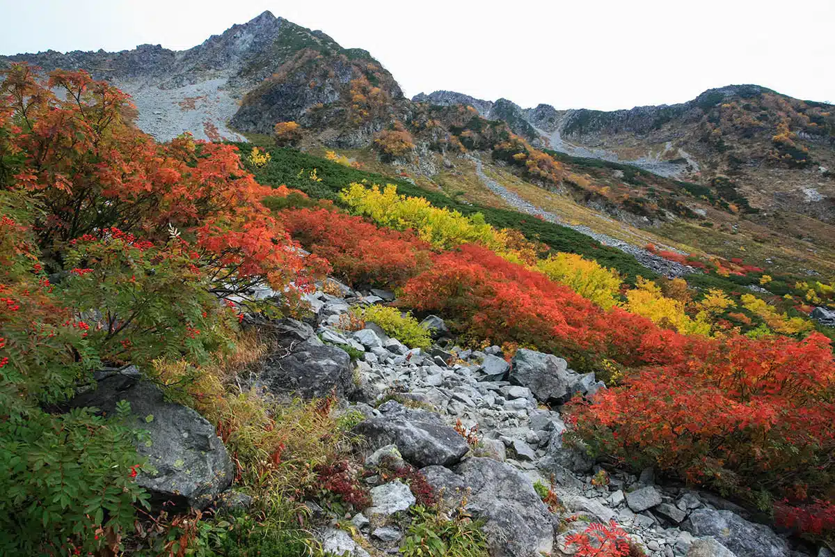 穂高岳登山 穂高岳-紅葉が近づいた