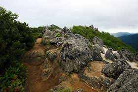 鳳凰山登山 赤抜沢ノ頭
