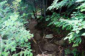 鳳凰山登山 かなり降りる