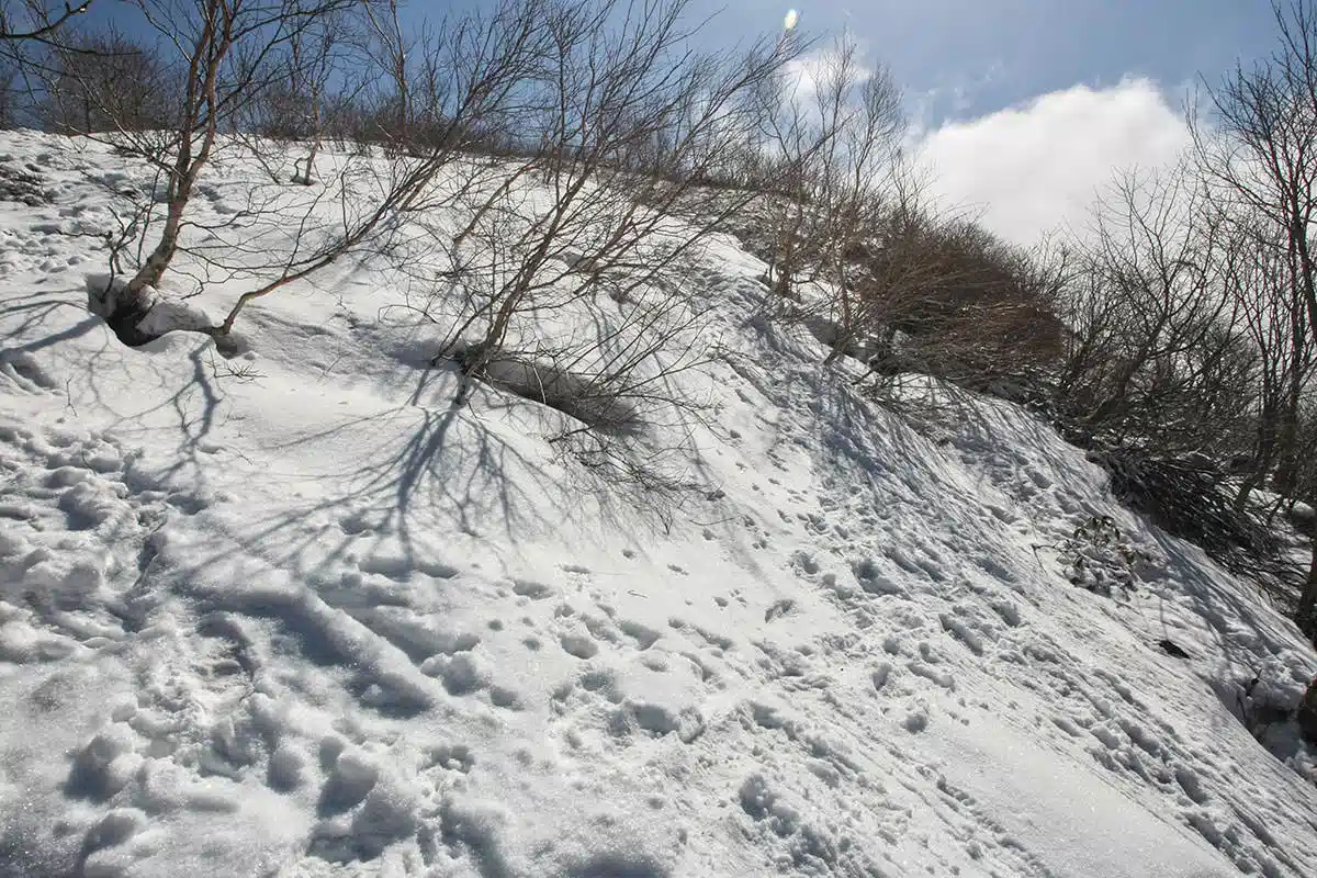 飯縄山登山 飯縄山-登山道に雪