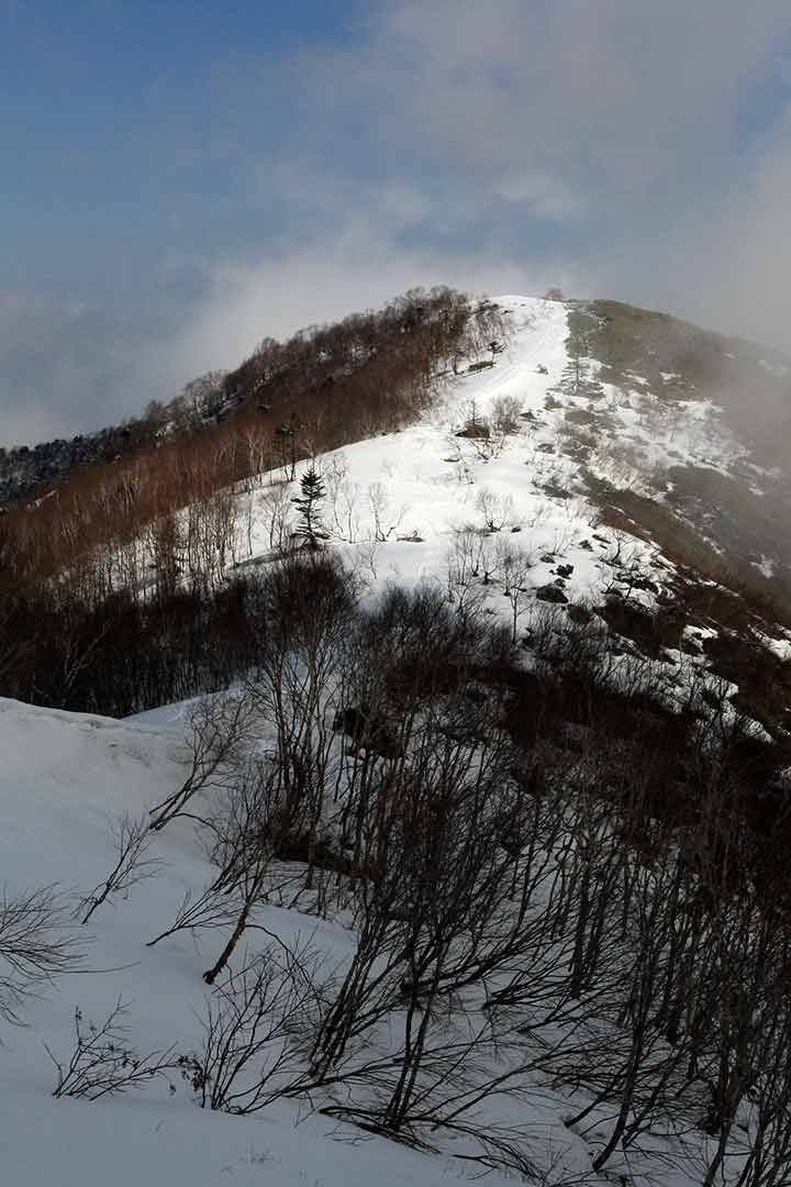 飯縄山　残雪期登山（一の鳥居） （4月）｜霜がビッシリ！残雪の飯縄山