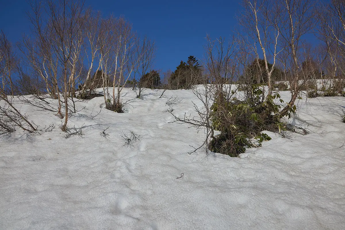 飯縄山登山 飯縄山-残雪の斜面をまっすぐ登る