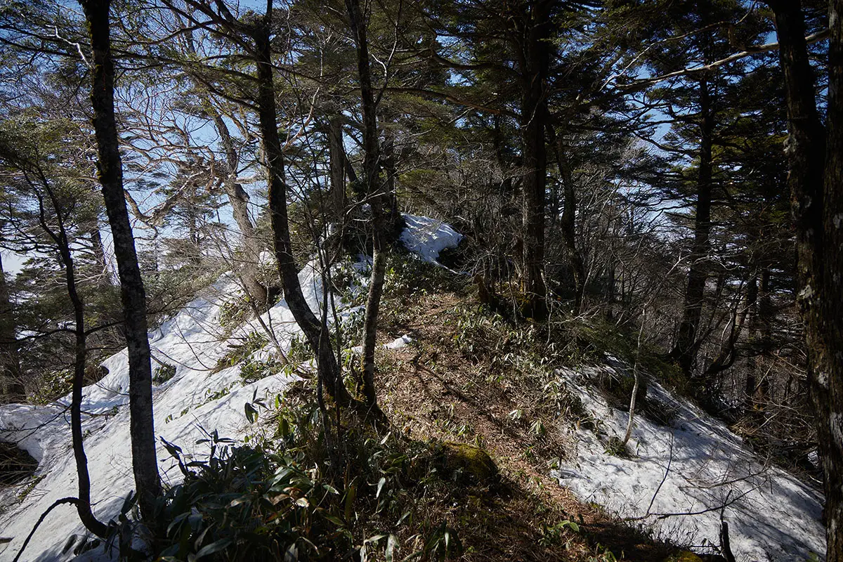 飯縄山登山 飯縄山-意外と稜線の左右は急斜面になっている