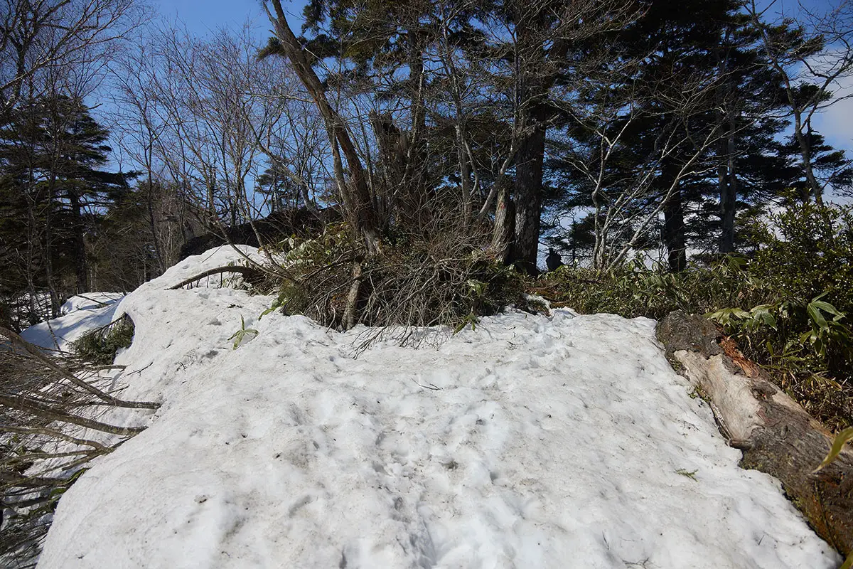 飯縄山登山 飯縄山-陽当たりの良い場所は雪が緩んでズボズボしてる