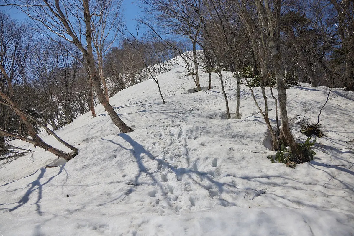 飯縄山登山 飯縄山-ここから飯縄山の山頂に向かっての急斜面