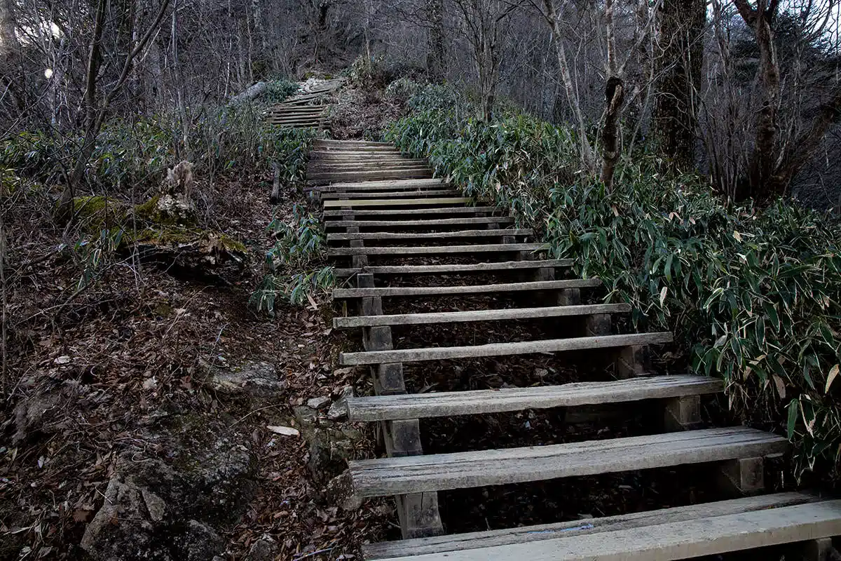 石鎚山登山 石鎚山-とにかく階段が多い