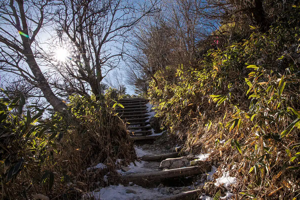 石鎚山登山 石鎚山-やはり階段は続く