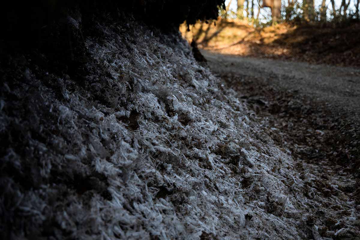 石鎚山登山 なんて大きな霜柱