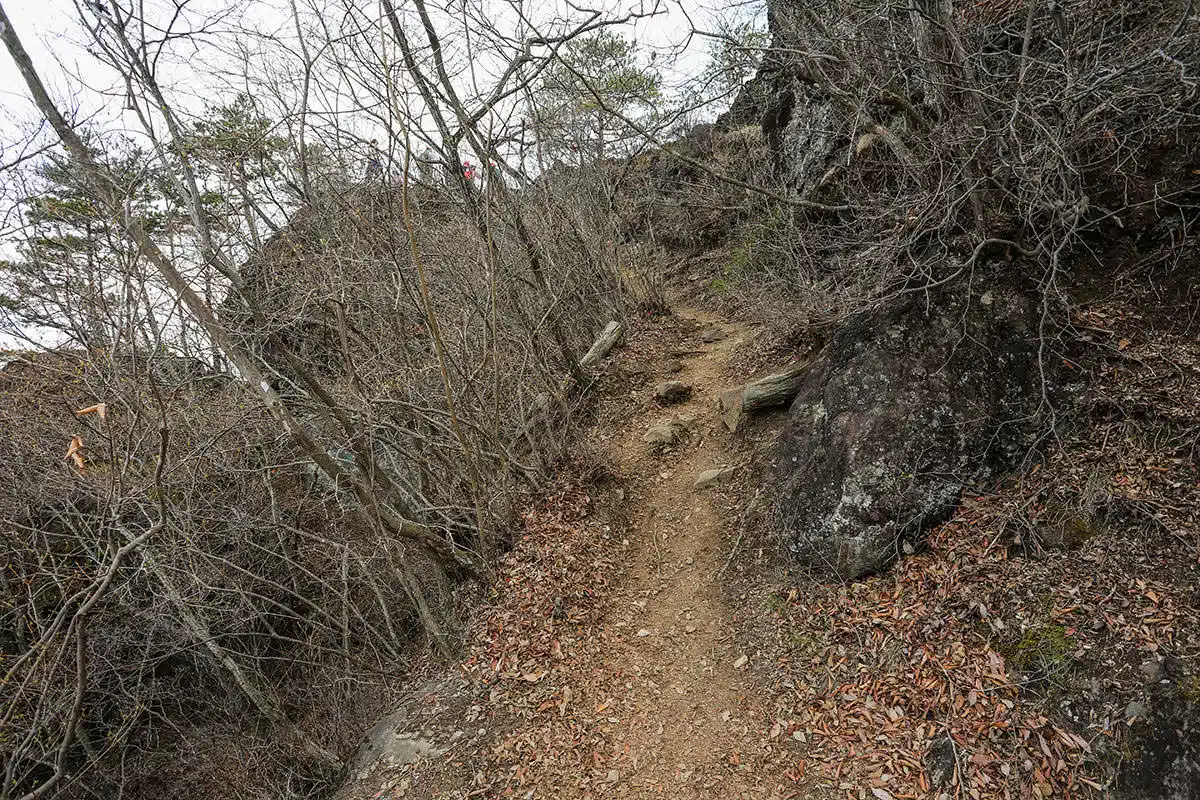 岩櫃山登山 岩櫃山-斜面の先に岩のピーク