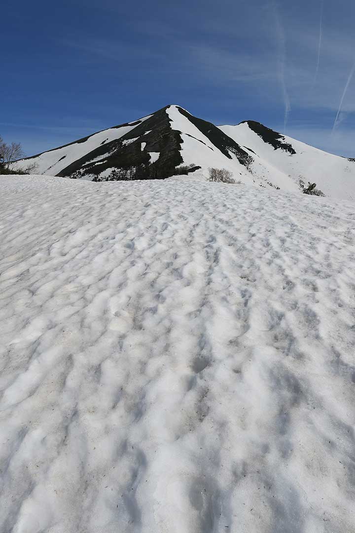 爺ヶ岳 残雪期登山（南尾根） （4月）｜急峻な尾根ルートを登る残雪の爺ヶ岳