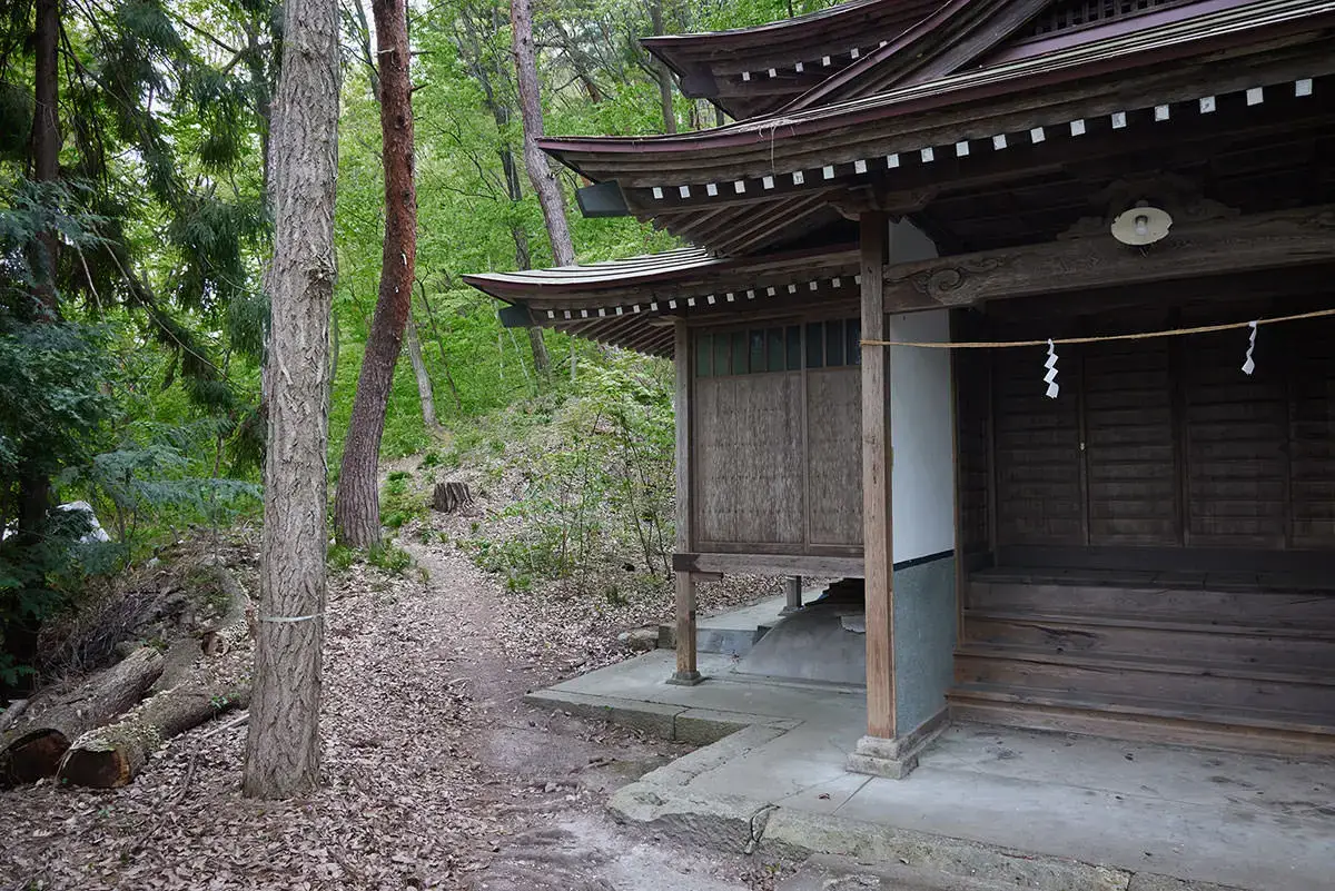 地附山登山 振り返ったら登山道があった